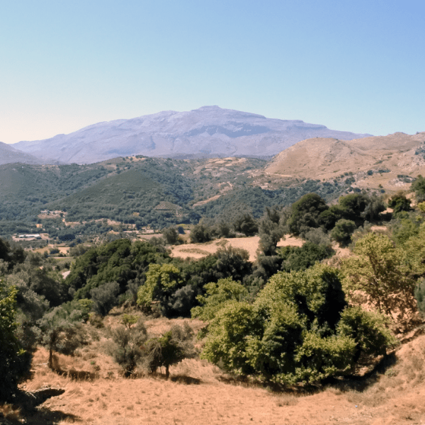 Amari Valley