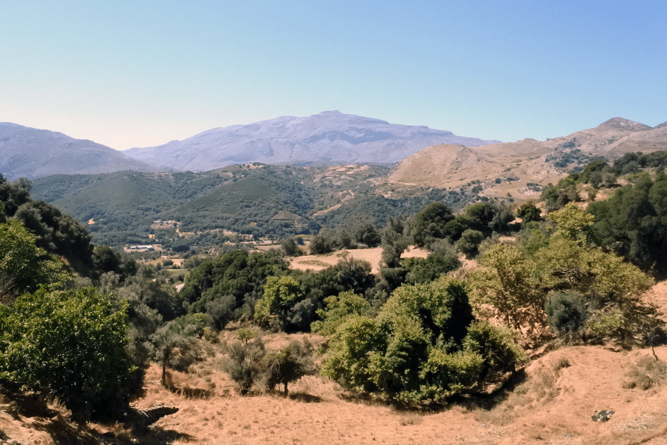 Crete Like the Locals: Grape Harvest Where Zeus Was Born